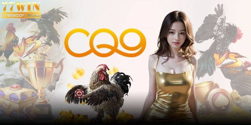 CQ9 Đá Gà 77Win - Đấu Trường Đỉnh Cao Đặt Cược Dễ Dàng