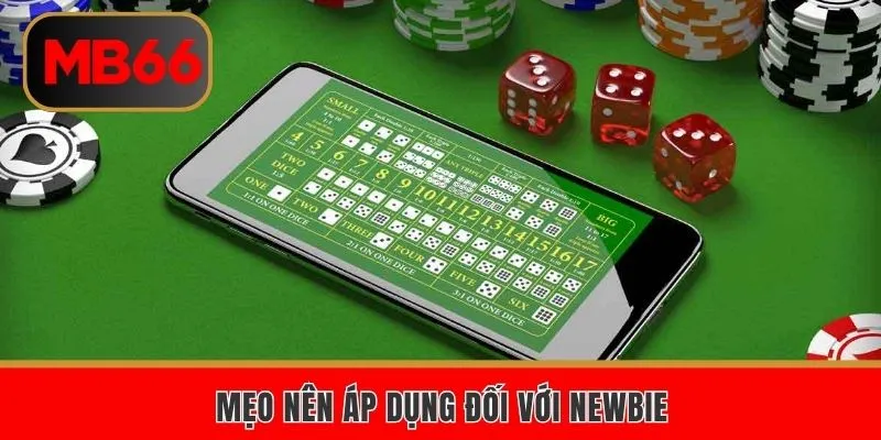 Mẹo nên áp dụng khi cược đối với newbie